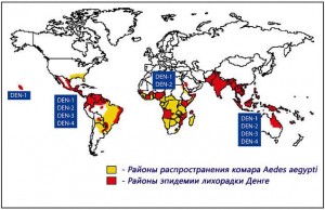 район распространения лихорадки денге